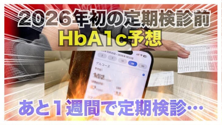 【糖尿病 Type1 】現在ずっと血糖値コントロール大苦戦中の糖尿病の私…2026年今年初の定期検診に向けてHbA1cをチェックしてみた！！