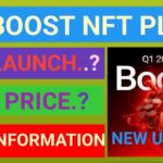 WW-BOOST NFT PLAN PDF LAUNCH? CES PRICE? FULL INFORMATION