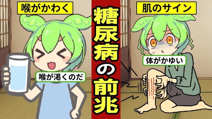 知らなければ危険！糖尿病のサインとは？症状や予防策を詳しく解説【ずんだもん｜高血糖｜食事｜ヘモグロビンa1c】