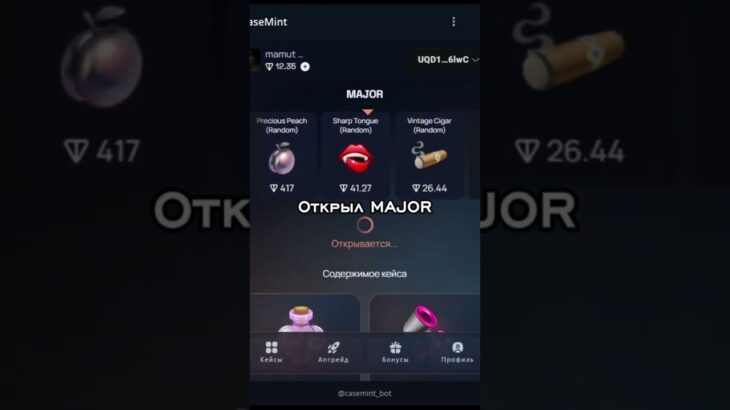#подарки #case #casemint #giftbattle #nft #telegrambot #telegram #подаркителеграм