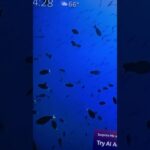 #gaming #tech #nft #funny # #mrbeast #comedy #viral #pets #lifeisbutadream #strangerthings warzone