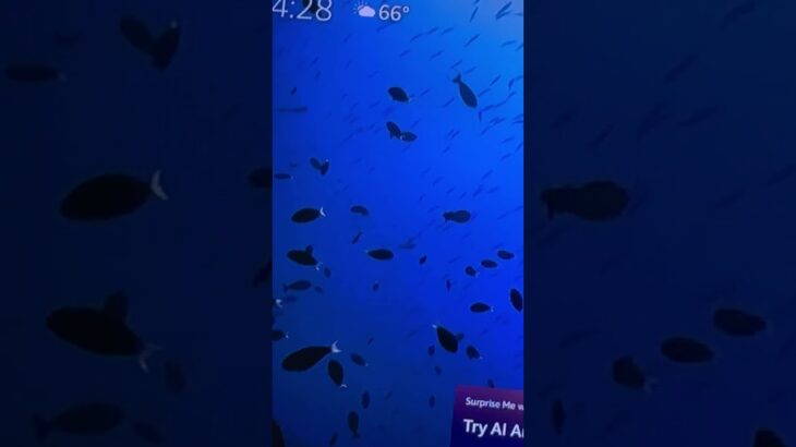 #gaming #tech #nft #funny # #mrbeast #comedy #viral #pets #lifeisbutadream #strangerthings warzone