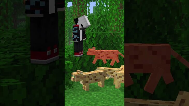 баг с оцылотом  #nft #minecraft #fyp #app