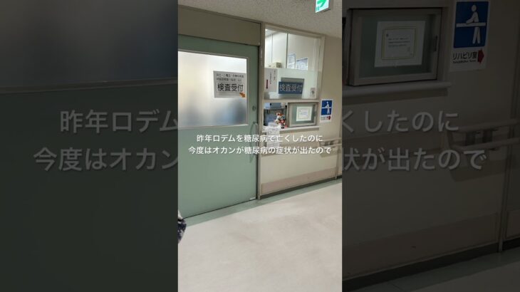 【ねこのロデム】ロデムに続き、オカンが糖尿病になったので、来週から検査入院する事になりました。#ねこのロデム #トカイナカで猫と暮らす #オカン入院　#shorts