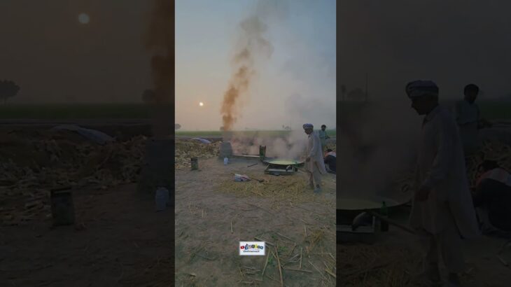 #shorts #trending #fyp #foryou #viralvideo #quran #tilawat #nft #treasurenft #earn