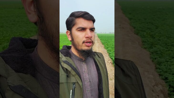 #shorts #trending #fyp #foryou #viralvideo #quran #tilawat #nft #treasurenft #earn