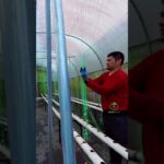 timelapse sterilisasi NFT.. #pertanian #farming #berkebun