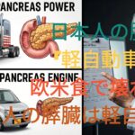 【警告】日本人は生まれつき糖尿病予備軍？膵臓が「軽自動車」並みの衝撃事実
