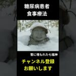 糖尿病患者の食事療法、主食、炒り煮（蕗　生揚）