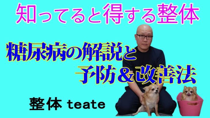知ってると得する整体～糖尿病の解説と予防＆改善法