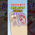 ウジで治す！？壊死した足が奇跡的に回復する！