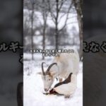 糖尿病の初期症状