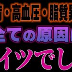 ※なぜ医者は教えてくれなかった？糖尿病、高血圧、脂質異常症を作り出す真犯人は全部コレでした…。【ゆっくり解説】
