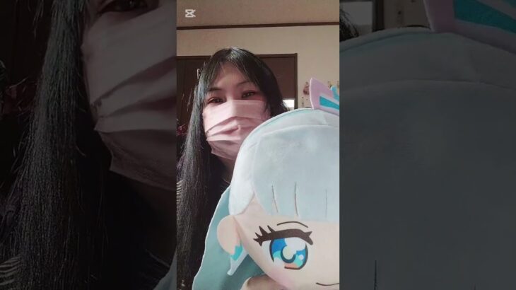 (自閉症,糖尿病)プリキュアのめちゃもふぐっとぬいぐるみ全部紹介！可愛過ぎる