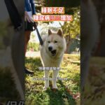 睡眠不足糖尿病風險增加