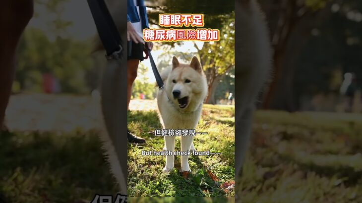 睡眠不足糖尿病風險增加