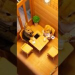 兔子們在討論糖尿病。🐰