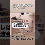 カンタロー君 × ぷっちょ君 ぴえん顔ブラザーズ🥹 ぷっちょ君、糖尿病のお薬が効いてきたのか、今まで登らなかった場所へ。大好きなカンタロー君と猫だんごしに行った😻…結果は、頭おさえで丁重に