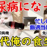 【猫ミーム】まさか自分が…糖尿病を招いた、俺の地獄の食習慣