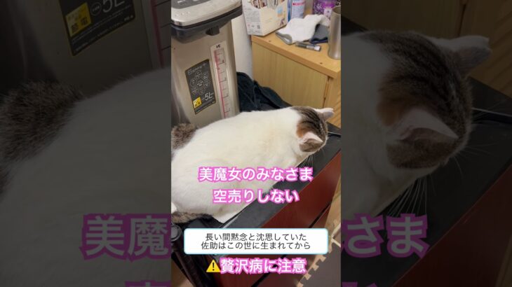 みなさま糖尿病に注意して下さい