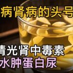 糖尿病肾病的头号克星，一招清除肾中毒素，告别水肿蛋白尿，守住你的肾！【中医养生】#肾病