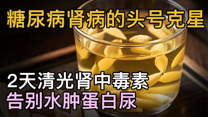 糖尿病肾病的头号克星，一招清除肾中毒素，告别水肿蛋白尿，守住你的肾！【中医养生】#肾病