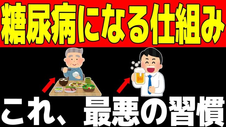 糖尿病になる人が共通して行っている行動、完全解説※日本人が糖尿病になる仕組みとは？血糖値を急上昇させる第三の脂肪とは？意外な筋肉と糖尿病との関係とは？超意外、医師も知らない！？後悔する前に絶対に見て！