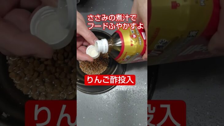 今さらだけど食事療法だけで糖尿病に立ち向かえば良かった #ボーダーコリー #犬のいる生活