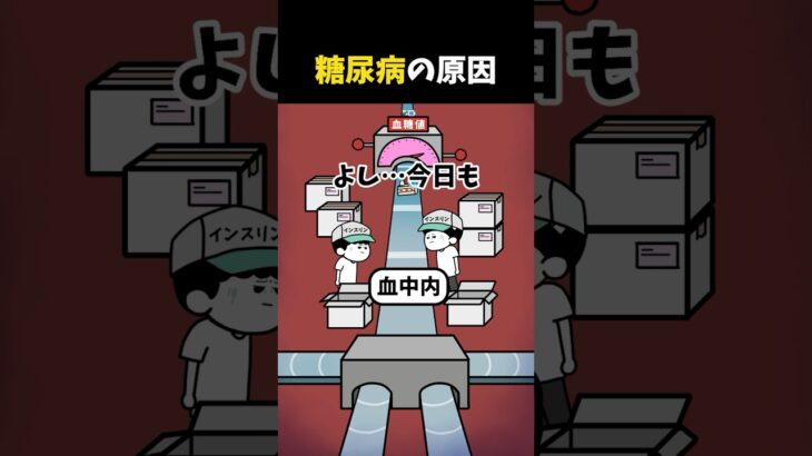 【アニメ】糖尿病のしくみ