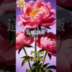 少吃三種食物 遠離糖尿病  #樂齡智慧坊#老年智慧#老年故事