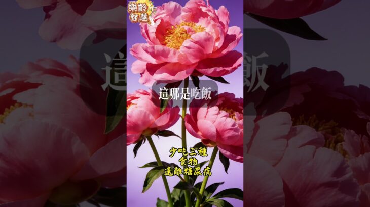 少吃三種食物 遠離糖尿病  #樂齡智慧坊#老年智慧#老年故事