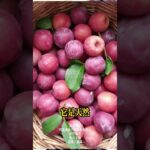 糖尿病患者必看！通便王食物清單 #排便困難 #健康秘訣 #養生#養老生活 #老年健康 #糖尿病