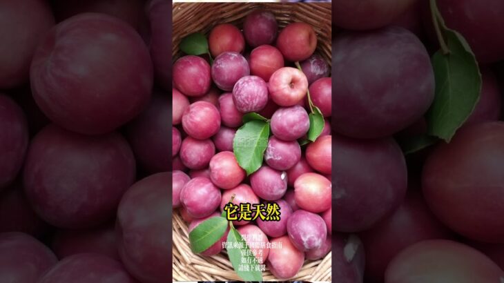 糖尿病患者必看！通便王食物清單 #排便困難 #健康秘訣 #養生#養老生活 #老年健康 #糖尿病