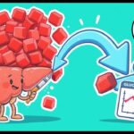 胰岛素全解析：它如何调控血糖、能量代谢与糖尿病