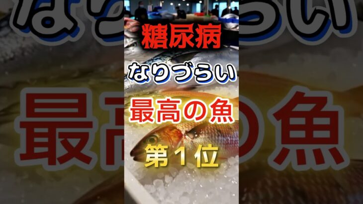【1位はみんな大好きなあれだ⁉】糖尿病になりづらい最高の魚　#健康 #雑学 #開運 #知恵 #医学 #名言