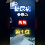 【1位は甘いものじゃない⁉】糖尿病になりやすい最悪のお魚とは！　#雑学 #医学 #知恵 #医学 #高齢者 #健康 #ファッション