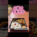 公園で弁当　1型糖尿病　インスリン12単位