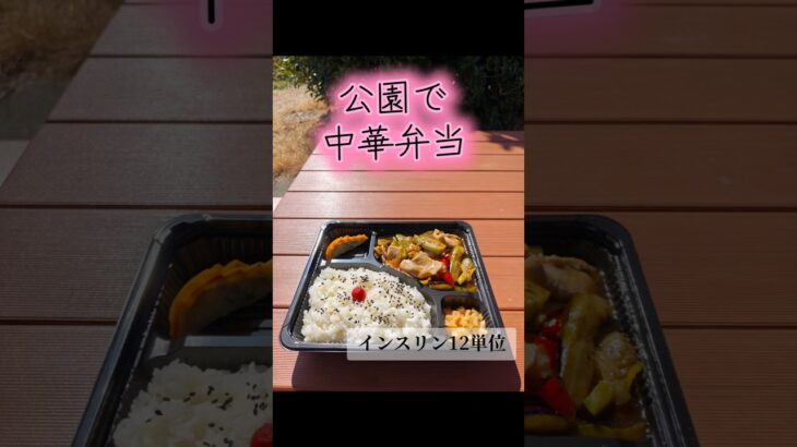 公園で弁当　1型糖尿病　インスリン12単位