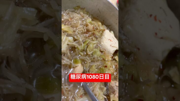 鶏鍋汁食べた糖尿病1080日目 #vlog #アーカイブ #cooking