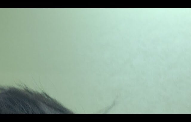 💢😠💢とうにょうちゃん【糖尿病2年目】 がライブ配信中！