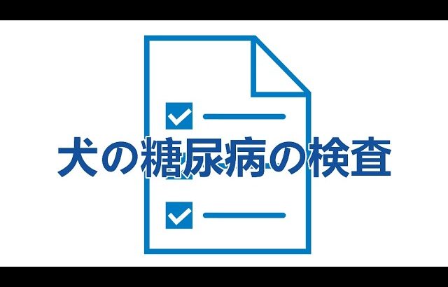 犬の糖尿病ー2