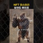 실제로 일어난 3가지 NFT 미스터리: 5조원 증발 사건 #돈 #주식 #경제야사 #비즈니스 #Finance