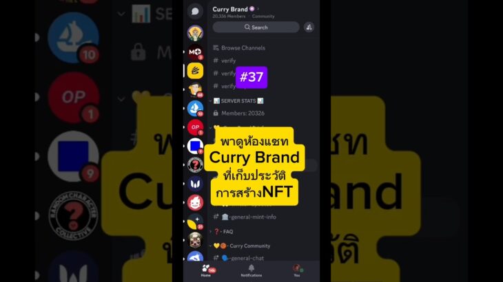 #37 ดิสคอร์ด Curry Brand , ที่เก็บประวัติการสร้าง NFT #ของสะสม #nft #stephencurry