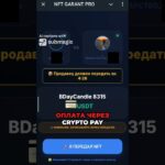Меня кинули на 5 NFT подарков… и я создал ЭТО 🛡️ #NFT #gifts #Fragment #Python #MiniApp #CryptoPay