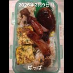 #5:00#糖尿病弁当#パパ弁当#ミニハンバーグオバケウィンナー弁当#shorts