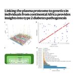 522-非洲裔人群血浆蛋白组与2型糖尿病遗传关联研究
