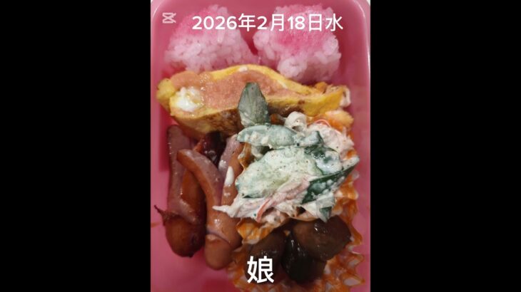 #5:30#糖尿病弁当#パパ弁当#娘弁当#ヒレカツ弁当#shorts