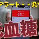 【低血糖】血糖値65の緊急事態。命に関わる恐怖。飴玉1個で回復検証