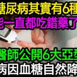 69%的糖友都吃錯了！二型糖尿病根本不是一種病！而是6種！資深醫師公開6大亞型，找對病因血糖自然降！#糖尿病 #降血糖 #二型糖尿病 #胰島素阻抗 #精準控糖 #血糖失控 #健康飲食