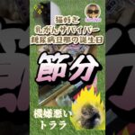 【76】#糖尿病治療薬の効果#90kg台→80kg台